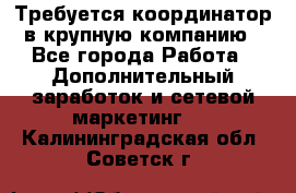 Требуется координатор в крупную компанию - Все города Работа » Дополнительный заработок и сетевой маркетинг   . Калининградская обл.,Советск г.